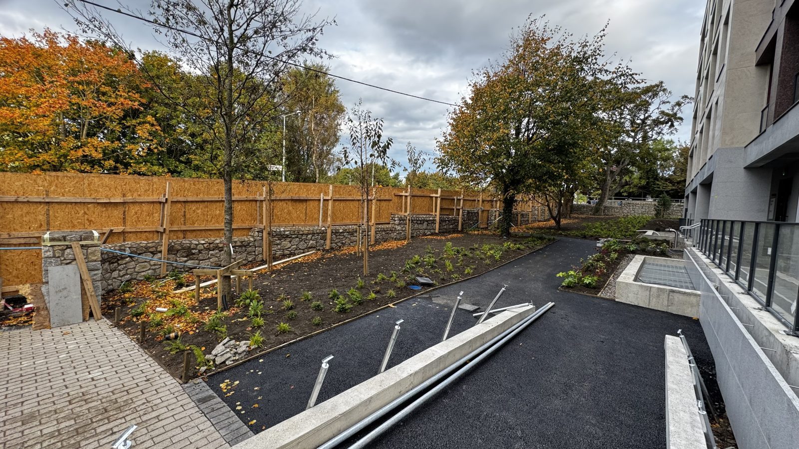 Granite boundary wall with new path and planting, Dublin